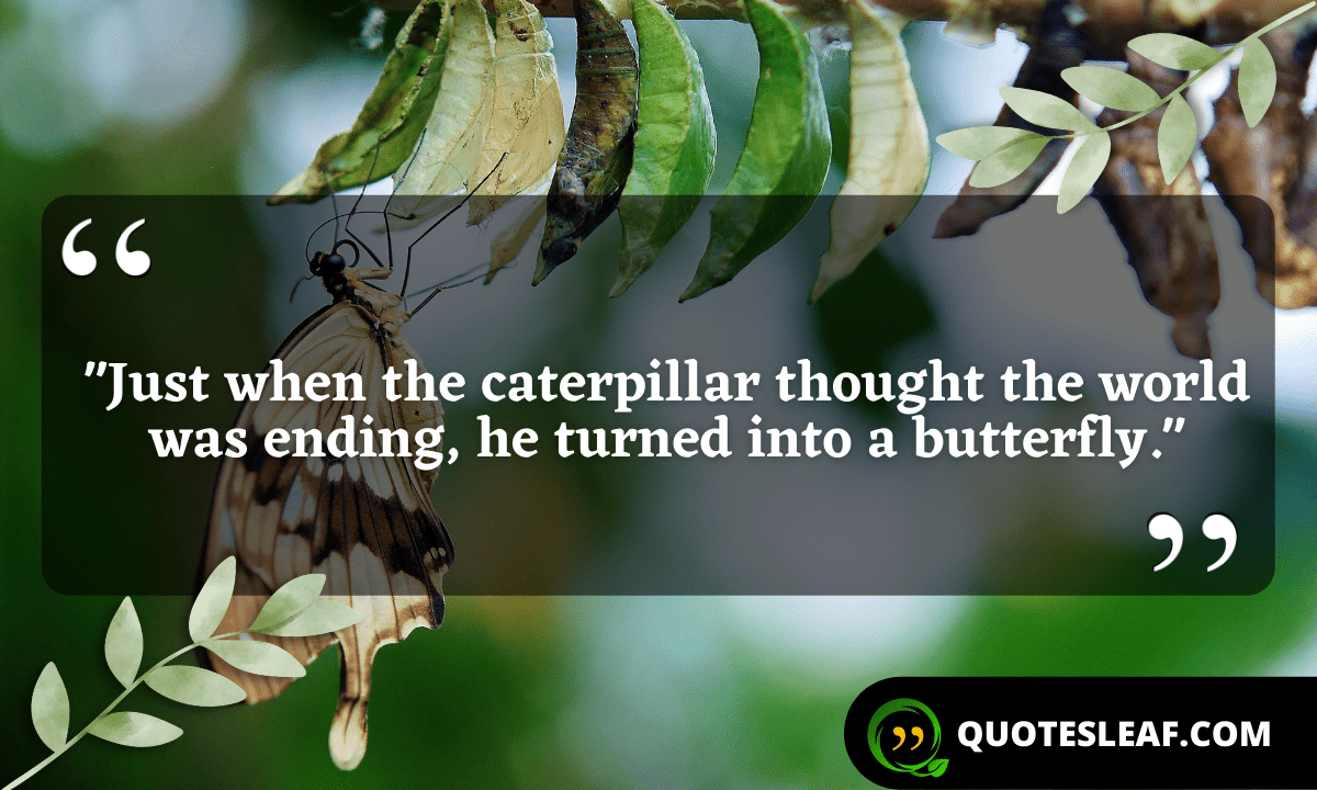 Read more about the article “Just when the caterpillar thought the world was ending, he turned into a butterfly.”